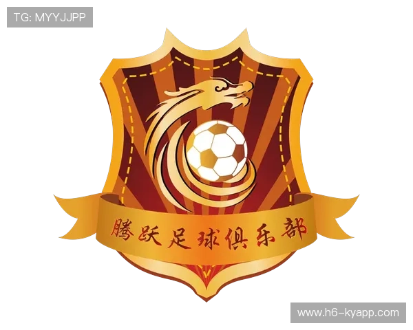 中国足球赛事票务系统优化升级，中国足协票务中心