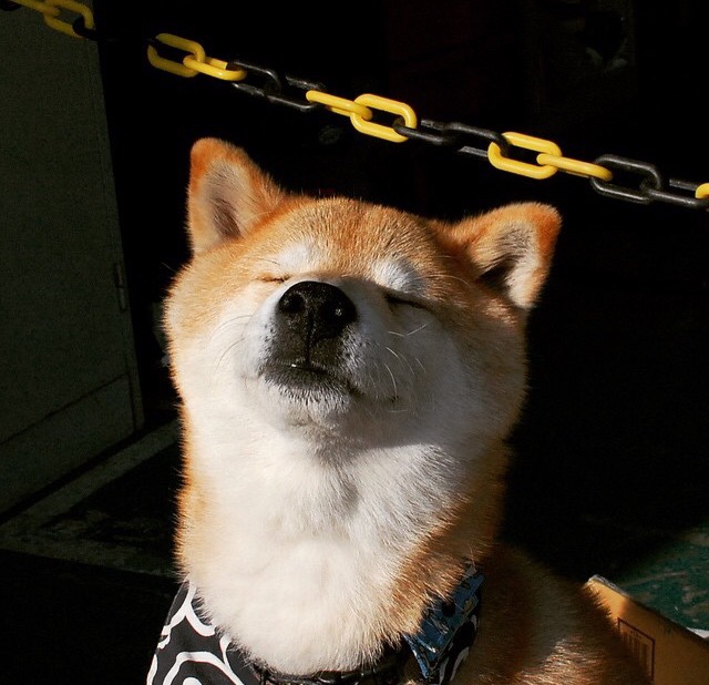 快节奏打法对助攻率的正负影响分析,快节奏定义